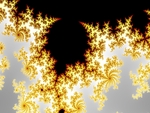 fractal