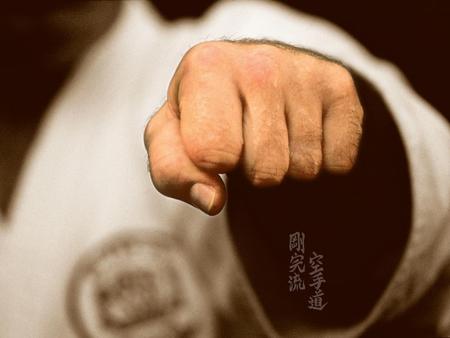 Punching Fist - chinese, punch, fist, karate