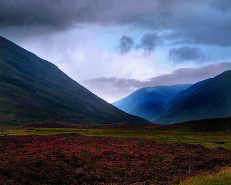 Landscape in Autumn - cloudy sky, mountains, flower carpet