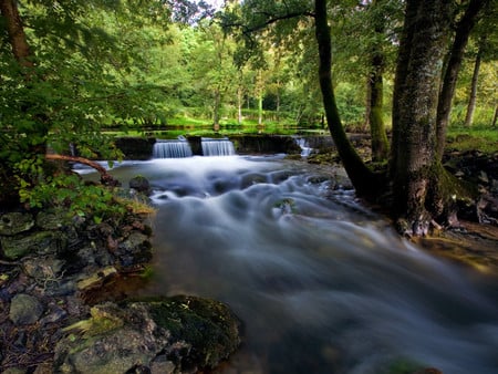 Park River - park, waterflow, trees, river