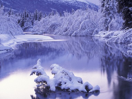 Ostrov River - river, icy trees, frozen, winter, snow