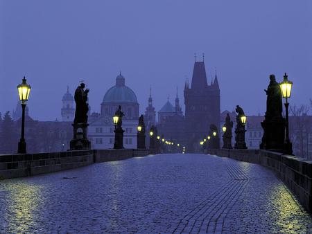 Prague - countries, alley, blue, romantic, night, church, cities, houses, bridges, fog, beautiful, lanterns, city, architecture, statues, arhitecture, nature, lights, prague, bridge