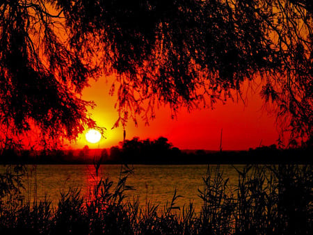 Riverside sun - sunsets, nature