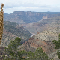 Salt River Canyon - Arizona