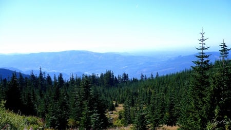 Down in the Valley - sky, forest, mountains, clouds, washington, widescreen, trees