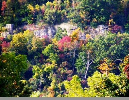 Escarpment - autumn, escarpment, trees