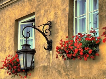 Varsovia Warsaw - flowers, lamp, warsaw, window