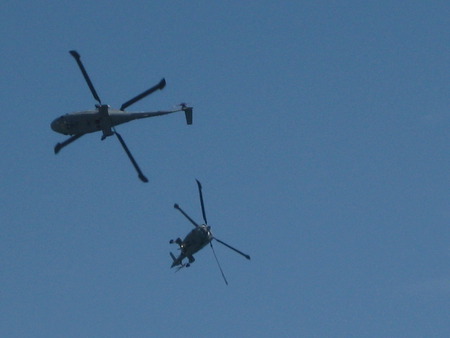 Black Cats (lynx X2) - britain, display, helicopter, team, black, navy, cats, royal, aerobatic