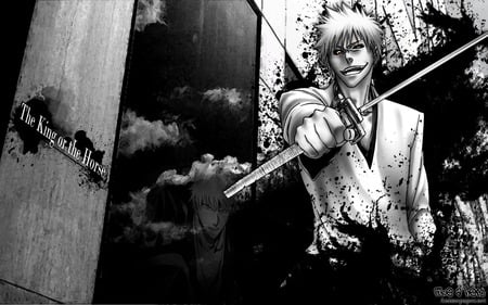 The king or the horse - black, white, bleach, ichigo, hollow