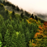 Autumn in my mountain