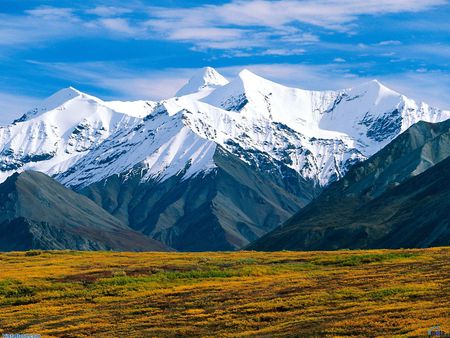 Nice Mountain - snow cap, ice, nature, landscape, mountain, snow, winter