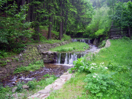 Unnatural mini waterfall - water, poland, waterfall, polish, unnatural, forest, river, tree, grass