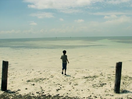 white sand beach - nature, beach