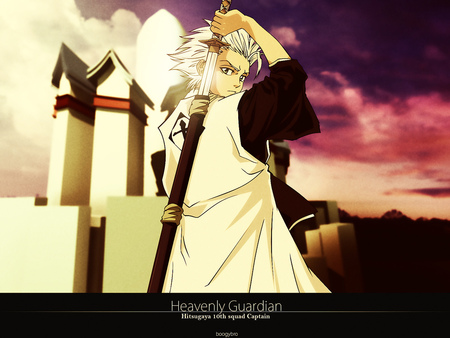 Toshiro - anime, toshiro, bleach