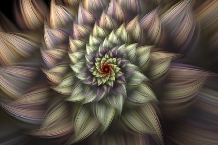 Floral Spiral - floral, circle, flood, spiral, flower