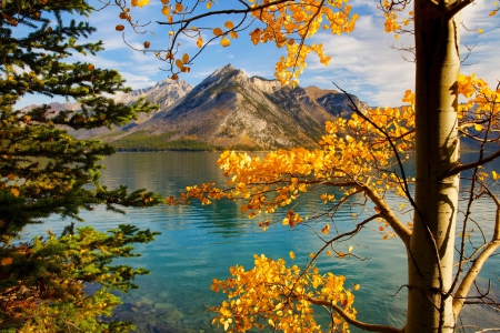 Aspens On The Lake - lake, trees, yellow, blue, beautiful, leaves, mountains