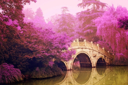 A purple Haze - purple, bridge, trees, purplehaze