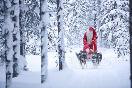 In the village of Santa Claus - santa claus, winter, santa, holidays, forest, snow, sleigh, snowy trees, husky, dogs