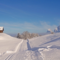 The Church in a Snow