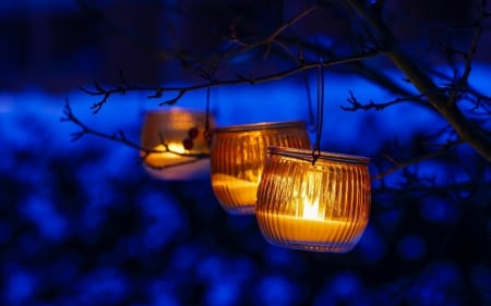 Hanging Lights - mood, winter, evening, snow, frost, light