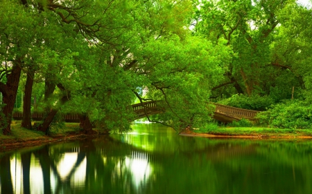 Park - trees, water, pond, park, bridge