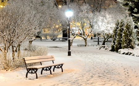 Winter Park - lights, winter, frost, coldness, skyphoenixx1, bench, lamps, town, way, city, trees, ice, nature, park, snow