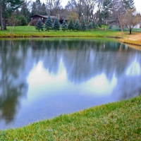 Backyard pond