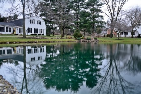 pond reflections - reflections, scenic pond, pond, pretty pond, pond reflections