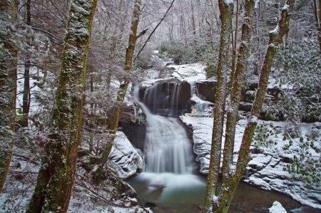 Winter Waterfall - nature, forests, trees, winter, wallpaper