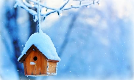 Birdhouse â™¥ - snowflkes, snow, photography, beautiful, winter, cute, lights