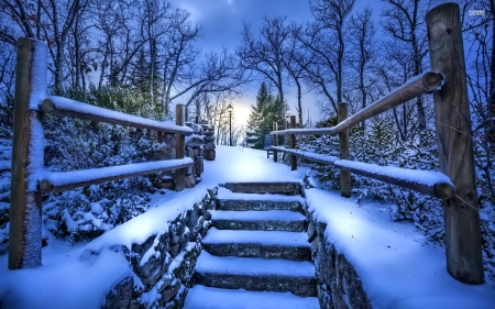 Snowy Stairway - snow, stairway, winter, nature