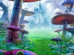 Mushroom Land