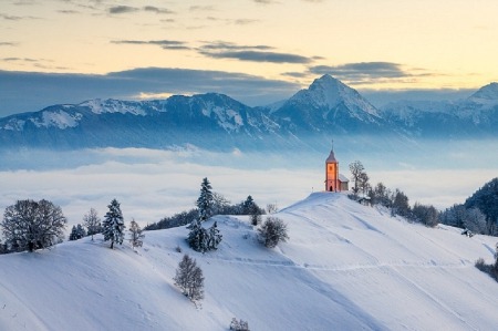 Winter Morning - frozen, winter splendor, winter, nature, cold, snow, mountains