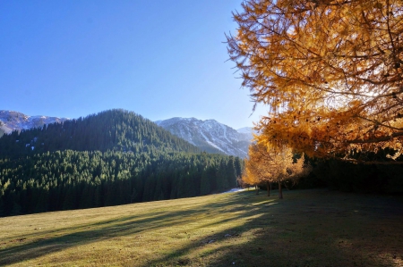 Four Season Valley - nature, fun, cool, mountain, forest, field