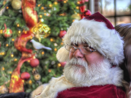 Mug-Shot - santa, tree, xmas, christmas