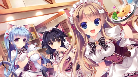 Welcome - pretty, anime, kawaii, female, cafe, dress, long hair, happy, kitten, hd, nice, house, anime girl, girl, lovely, brown hair, maid, sweet, cat, cg, cute, adorable, building, kitty