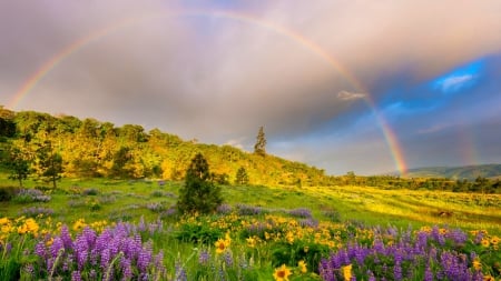 Spring Rainbow - clouds, trees, hills, beautiful, springtime, grass, flowers, rainbow, meadows, field, sky