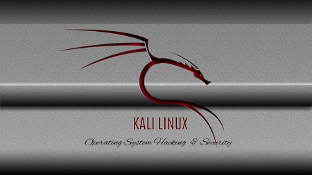 kali linux - didis, grey, linux, kali