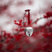 â™«â€¢â™«*Christmas Symphony*â™«â€¢â™«