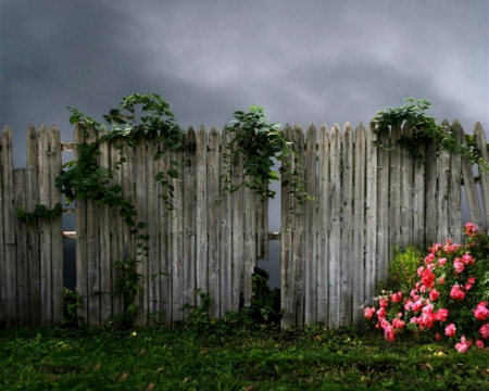 Wood Fence - flowers, fence, wood, grass