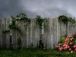 Wood Fence