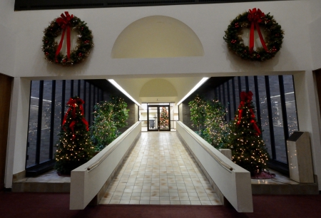 Down the Christmas lane - down the christmas lane, christmas decor, christmas tree, christmas photography