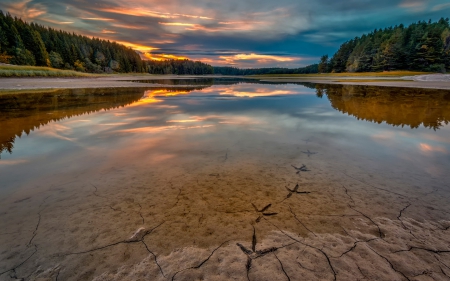 Wonderful Planet - trees, nature, water, clouds