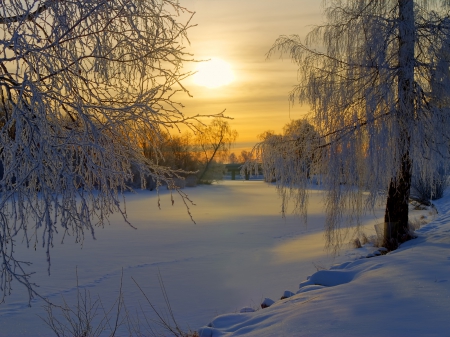 Sunset in winter - winter, sunset, trees, snow