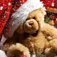 Christmas Teddy