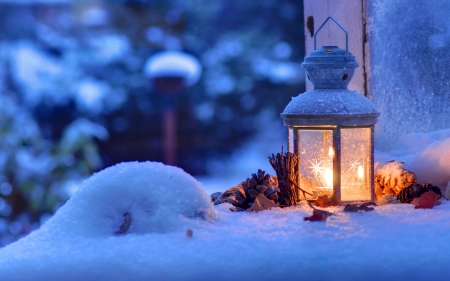 Winter Light - candle, lantern, snow, photography, winter, pine cones