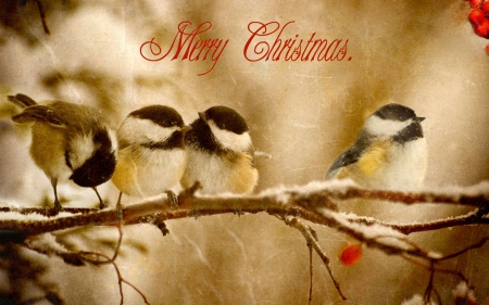 Christmas Birds - Yule, birds, winter, snow, Christmas, tree