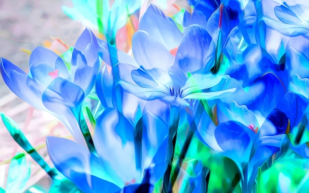 Crocus - painting, art, blue, poster, spring, flower