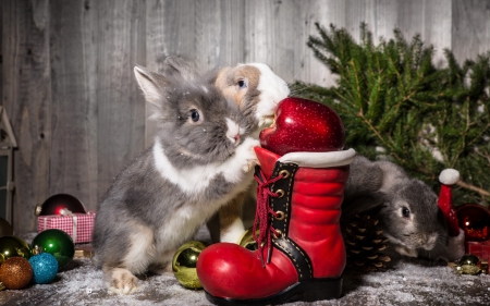 Merry Christmas! - rabbit, shoe, boot, christmas, animal, red, green, fruit, cute, apple