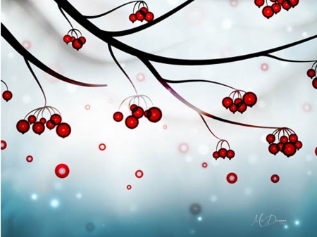 Last of Winter Berries - lights, winter, feliz navidad, berries, tree, abstract, christmas, snow